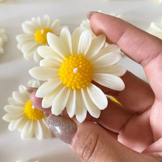 Hand holding a white flower with yellow center, surrounded by more flowers on a light background